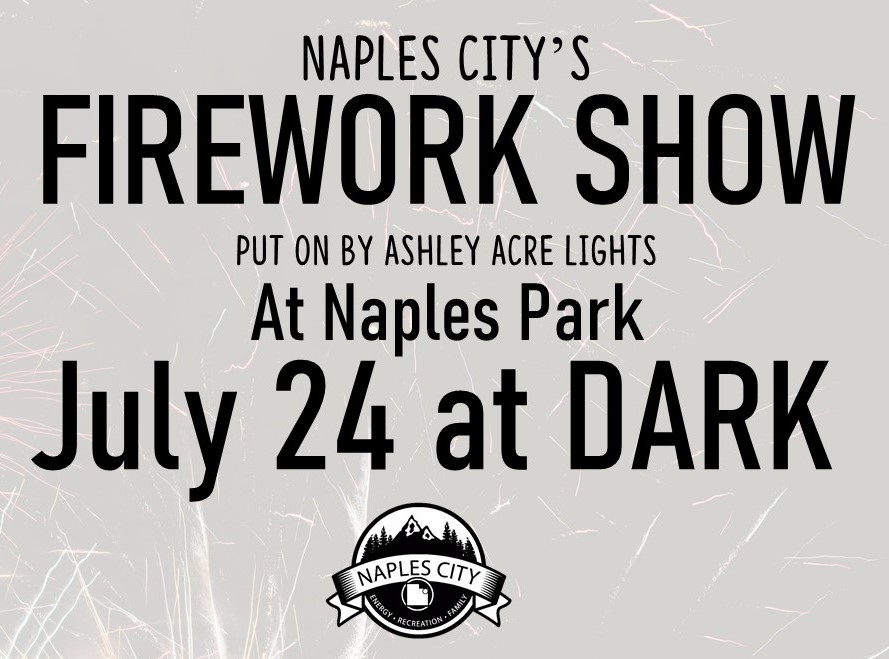 24th of July Firework Show 24th of July Firework Show